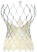 CoreValve Evolut self-expanding valve