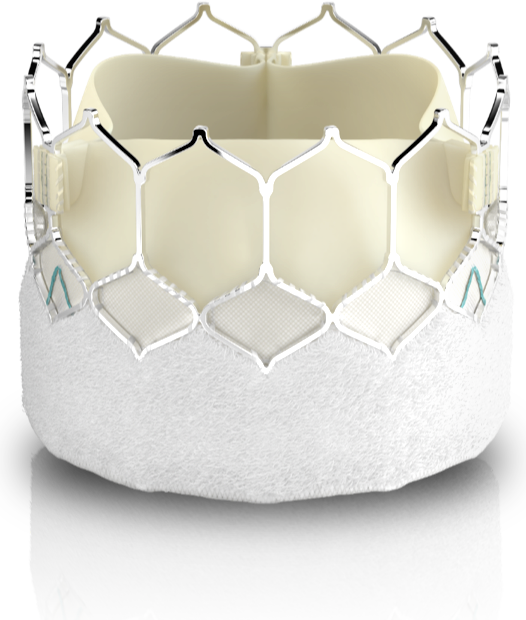 SAPIEN balloon-expandable valve